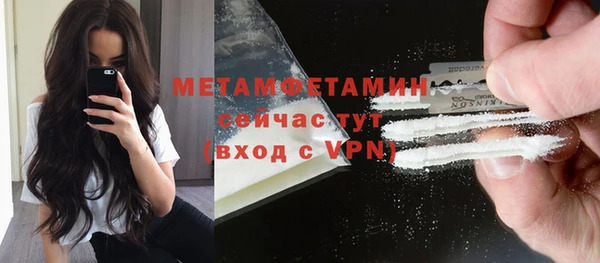 дурь Бородино