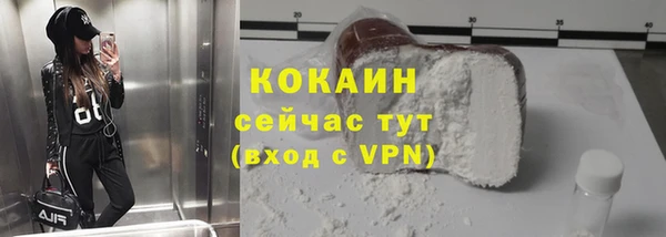 дурь Бородино