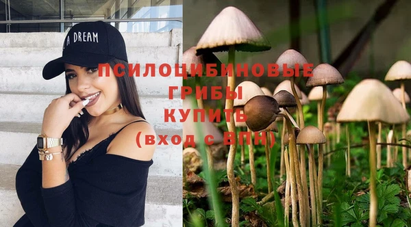 каннабис Белокуриха
