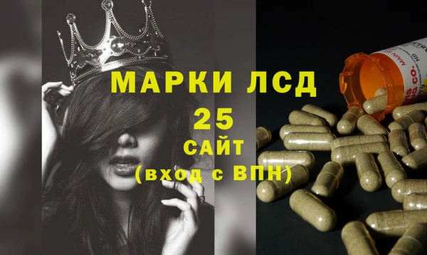 дурь Бородино